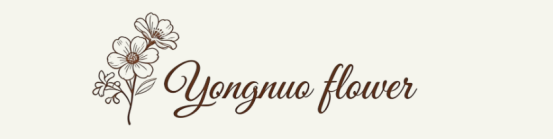 Global Leading Flower Row Solutions Provider Milestones: Yongnuo Awarded Premium Cultural Export Honor 1 Global Leading Flower Row Solutions Provider Yongnuo Premium Cultural Export Honor